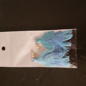 Ombre blue tassle earrings.